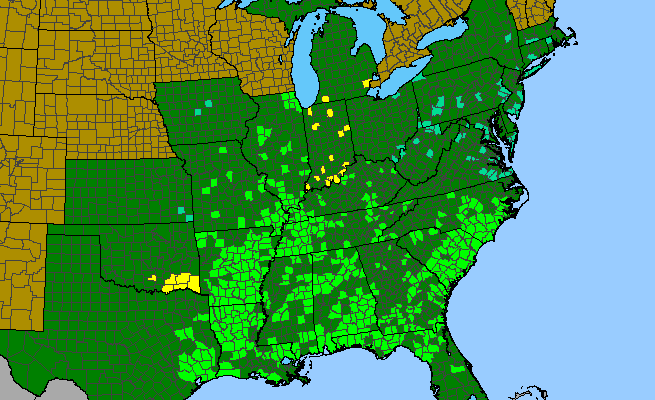 The range of Wisteria frutescens